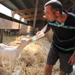 ferme pédagogique charente maritime