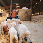 ferme pédagogique charente maritime