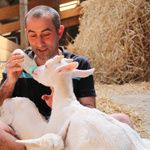 ferme pédagogique charente maritime